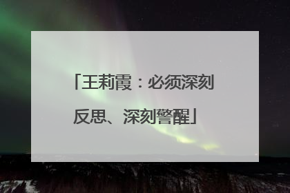 王莉霞：必须深刻反思、深刻警醒