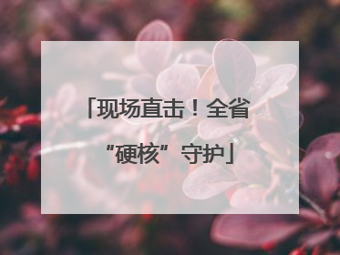 现场直击！全省“硬核”守护