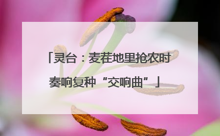 灵台：麦茬地里抢农时 奏响复种“交响曲”
