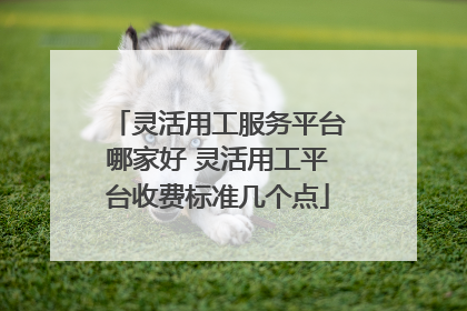 灵活用工服务平台哪家好 灵活用工平台收费标准几个点