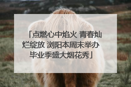 点燃心中焰火 青春灿烂绽放 浏阳本周末举办毕业季盛大烟花秀