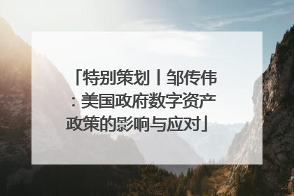 特别策划丨邹传伟：美国政府数字资产政策的影响与应对