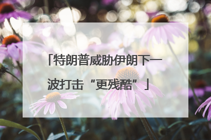 特朗普威胁伊朗下一波打击“更残酷”