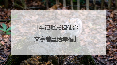 牢记嘱托担使命 文亭巷里话幸福