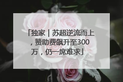 独家｜苏超逆流而上，赞助费飙升至300万，仍一席难求