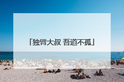 独臂大叔 吾道不孤