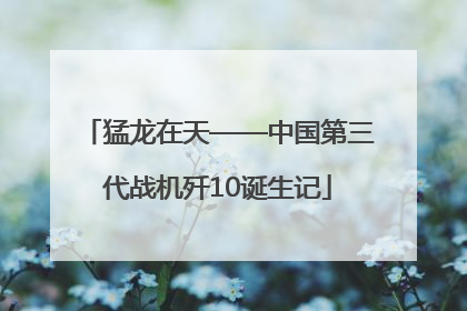 猛龙在天——中国第三代战机歼10诞生记