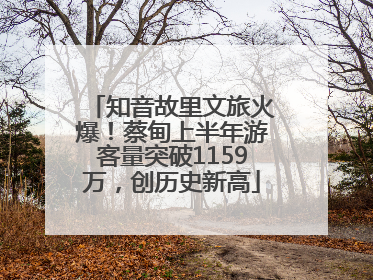 知音故里文旅火爆！蔡甸上半年游客量突破1159万，创历史新高