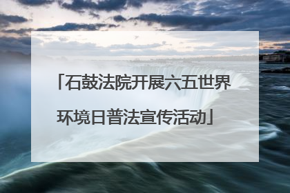 石鼓法院开展六五世界环境日普法宣传活动