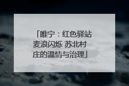 睢宁：红色驿站麦浪闪烁 苏北村庄的温情与治理