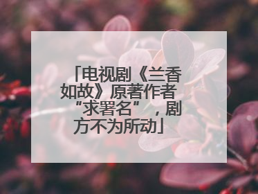 电视剧《兰香如故》原著作者“求署名”，剧方不为所动