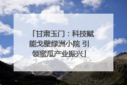 甘肃玉门：科技赋能戈壁绿洲小院 引领蜜瓜产业振兴