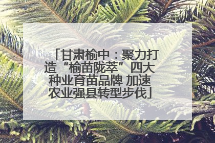 甘肃榆中：聚力打造“榆苗陇萃”四大种业育苗品牌 加速农业强县转型步伐