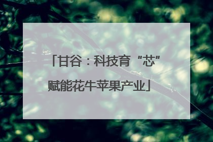 甘谷：科技育“芯”赋能花牛苹果产业