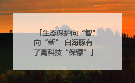 生态保护向“智”向“新” 白海豚有了高科技“保镖”