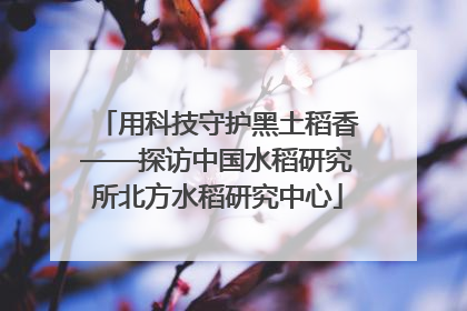 用科技守护黑土稻香——探访中国水稻研究所北方水稻研究中心
