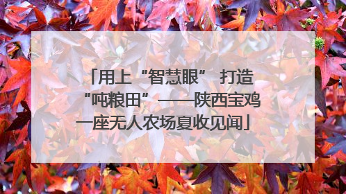 用上“智慧眼” 打造“吨粮田”——陕西宝鸡一座无人农场夏收见闻