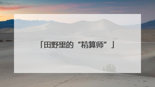 田野里的“精算师”