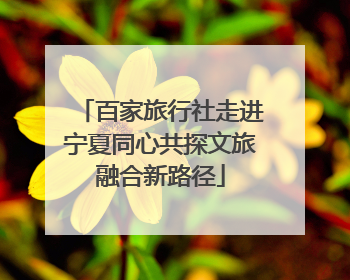 百家旅行社走进宁夏同心共探文旅融合新路径
