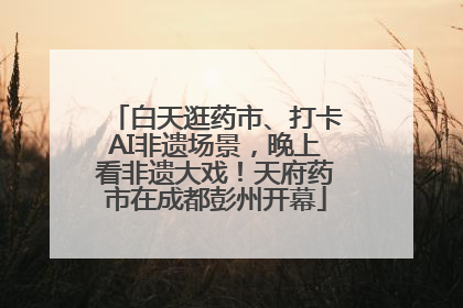 白天逛药市、打卡AI非遗场景，晚上看非遗大戏！天府药市在成都彭州开幕