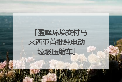盈峰环境交付马来西亚首批纯电动垃圾压缩车