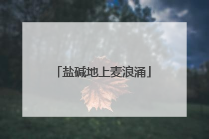 盐碱地上麦浪涌