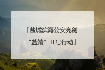 盐城滨海公安亮剑“盐靖”Ⅱ号行动