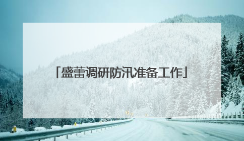 盛蕾调研防汛准备工作