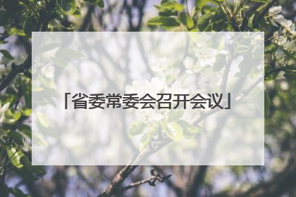 省委常委会召开会议