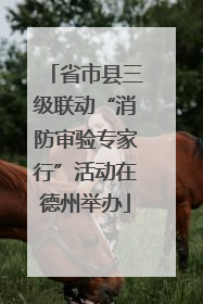 省市县三级联动“消防审验专家行”活动在德州举办