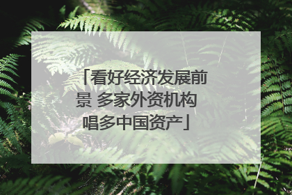 看好经济发展前景 多家外资机构唱多中国资产