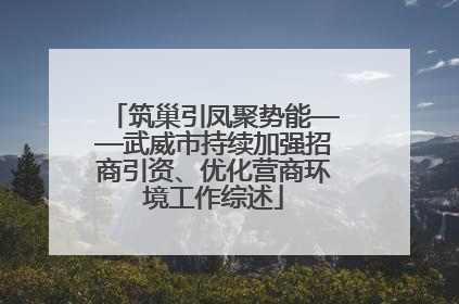 筑巢引凤聚势能——武威市持续加强招商引资、优化营商环境工作综述