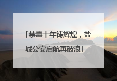 禁毒十年铸辉煌，盐城公安启航再破浪