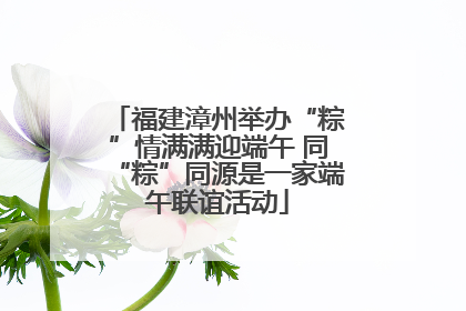 福建漳州举办“粽”情满满迎端午 同“粽”同源是一家端午联谊活动