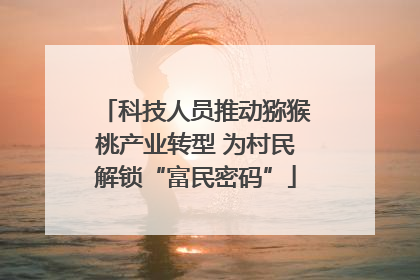 科技人员推动猕猴桃产业转型 为村民解锁“富民密码”