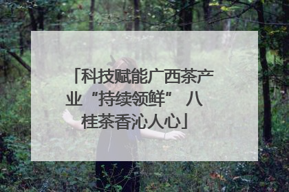 科技赋能广西茶产业“持续领鲜” 八桂茶香沁人心