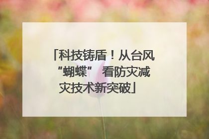 科技铸盾！从台风“蝴蝶” 看防灾减灾技术新突破