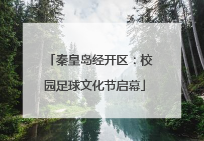 秦皇岛经开区：校园足球文化节启幕