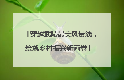 穿越武陵最美风景线，绘就乡村振兴新画卷