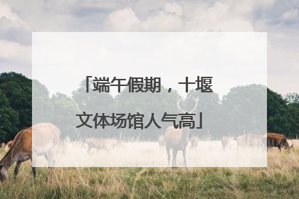 端午假期，十堰文体场馆人气高