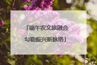 端午农文旅融合 勾勒振兴新脉络