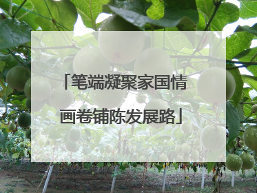 笔端凝聚家国情  画卷铺陈发展路