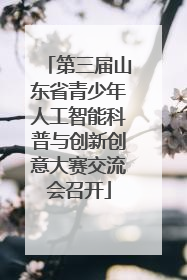 第三届山东省青少年人工智能科普与创新创意大赛交流会召开