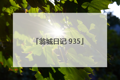 翁城日记 935