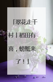 翠花走千村丨稻田有喜，螃蟹来了！