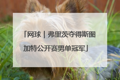 网球｜弗里茨夺得斯图加特公开赛男单冠军