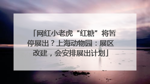 网红小老虎“红糖”将暂停展出？上海动物园：展区改建，会安排展出计划
