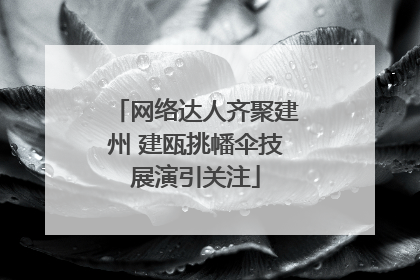 网络达人齐聚建州 建瓯挑幡伞技展演引关注