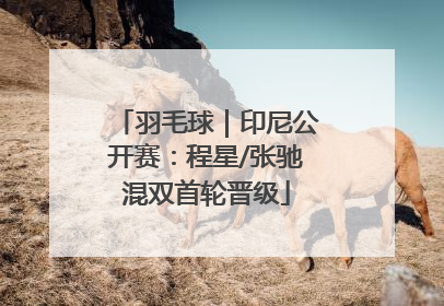 羽毛球｜印尼公开赛：程星/张驰混双首轮晋级