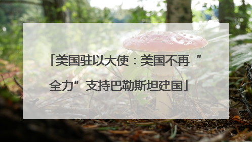 美国驻以大使：美国不再“全力”支持巴勒斯坦建国